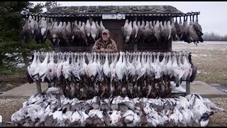 Hired to Hunt Season 3 10 Everyone Remain Calm Duck and Goose Hunting Limit hunts in Alberta [upl. by Celeski]