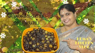 சிறிய நெல்லிக்காய் ஊறுகாய்  HEMAS KICTECHEN VLOG [upl. by Haneen]