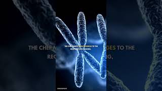 What is RNA Editing  genetics biology dna rna [upl. by Raybourne]