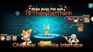 NBHTề Thiên Đại Thánh Tiến Hóa Chimchar Thành InfernapeKhỉ Lửa Cuồng Sát [upl. by Kappel]