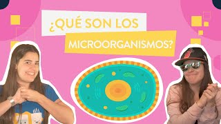 ¿Qué son los MICROORGANISMOS [upl. by Susan]