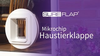 Installation der mikrochipgesteuerten SureFlap Haustierklappe in Glas [upl. by Ellora886]