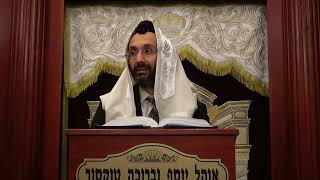 RAvner Yunayev Chok Lisrael Halachot Rosh Hashanna 92324 [upl. by Joli]