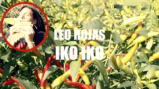 Leo Rojas  Iko Iko Panflute Cover  Chilli Garden MV [upl. by Magnuson]