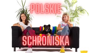 ADOPCJA PSA ZE SCHRONISKA  wywiad z wolontariuszem [upl. by Keg]