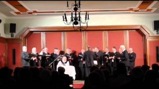 Waldviertlerlied  Männerchor quotLiedertafel Senftenbergquot [upl. by Inaleon]