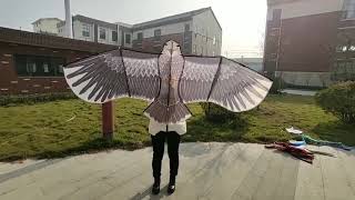 Farm Animal Eagle Kite Bird Scarer Kite [upl. by Suqram]