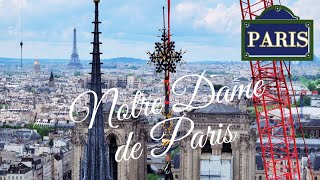 Paris 🇫🇷  Notre Dame de Paris  Renaissance of Notre Dame [upl. by Imelida]