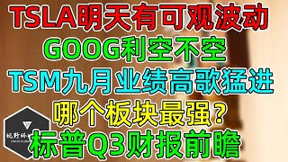 美股 TSLA明天有可观波动！GOOG利空不空，TSM业绩高歌猛进！标普三季度财报，哪个板块最强？ [upl. by Airbmac439]