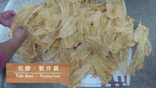 海味系列 花膠  製作篇 Fish Maw  Production [upl. by Aziza]