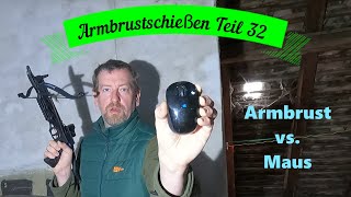 Armbrustscgießen Teil 32  Alligator 2 Pistolenarmbrust vs Computermaus [upl. by Silrak]