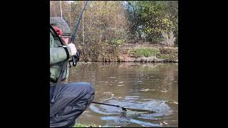 Sonubaits Haze in Action shorts feederfishing methodfeeder carpfishing travelrod [upl. by Rust630]