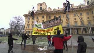 Aktion gegen Gatterjagd ORF BURGENLAND HEUTE [upl. by Ayita]