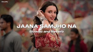 Jaana Samjho Na slowed  reverb • Cloudify • [upl. by Dnomzed]