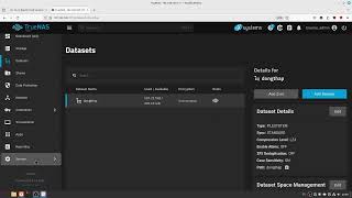 TrueNAS SCALE 2410 Electric Eel 2410BETA1 test apps Docker [upl. by Einon]