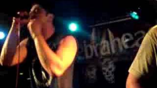 Zebrahead  live Alone [upl. by Addi]