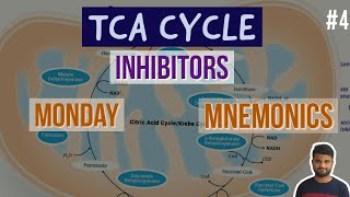 Citric Acid Cycle Inhibitors Mnemonic TCA Cycle Inhibitors Mnemonic Monday Mnemonic Medic Addict [upl. by Allsopp573]