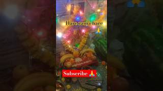 Dubhi dipawali shorts trending viralvideo [upl. by Slin]