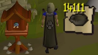 OSRS HCIM 177 The Birdhouse Runs Paid Off 21132277 [upl. by Darmit]