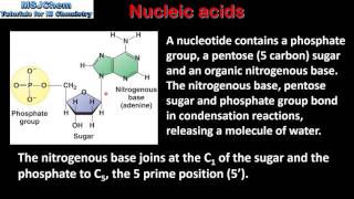 B8 Nucleic acids  Polynucleotides  DNA and RNA HL [upl. by Renaldo]