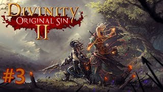 Coop Divinity Original Sin 2  Part 3  quotMagical Crocodilesquot [upl. by Ettezyl]