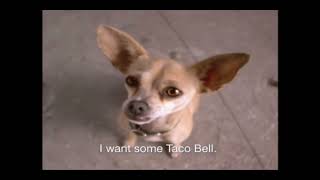 I tried to make the Taco Bell ad better [upl. by Nama]