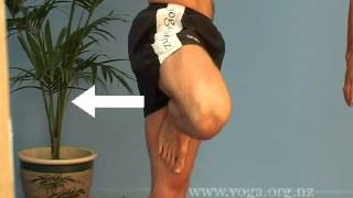 Beginners Online Yoga Class  Classes of 20 Yoga postures [upl. by Rodolphe212]