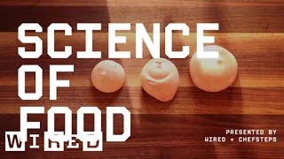 How to Make SuperClassy Culinary Foam Even if You Aren’t Classy  Science of Food [upl. by Reltuc]