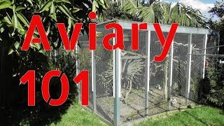 Outdoor Aviary 101  Tips on Building a Large Aviary Outdoors [upl. by Madancy722]