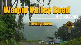 Waipio Valley Road Driving Down Big Island Hawaii [upl. by Teerprah717]