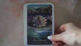 Cartas Oráculo Susurros de Amor  Review Whispers of Love Oracle Cards [upl. by Nanoc991]