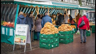 Producción de papa en Holanda  Alimentos y Regiones [upl. by Anividul]