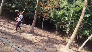 Sweet Gum Woods Adventure amazing explore viralvideo tekjingvlog [upl. by Sascha]