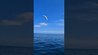 Catch Mackerel And Feed The Seagulls At Runswick Bay [upl. by Wallache]