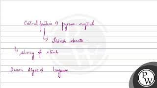 Which of the following statements is incorrect A Pyrenoids contain protein besides starch B [upl. by Retxab]