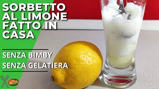 Sorbetto al Limone SENZA gelatiera ne bimby 🍋  Troppo Gusto [upl. by Florella57]