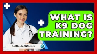 What Is K9 Dog Training  PetGuide360com [upl. by Justinian]