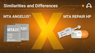 FACE OFF MTA Angelus vs MTA Repair HP [upl. by Souza801]