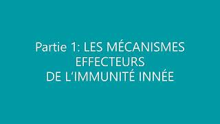 LES MÉCANISMES EFFECTEURS DE L’IMMUNITÉ INNÉE partie1 [upl. by Wiener403]