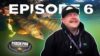 PERCH PRO 8  Episode 6 [upl. by Asyram125]