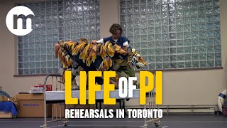 Life of Pi rehearsals [upl. by Benn]