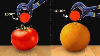 Experiment 1000°C Glowing Metal Ball vs Tomato Orange  Cool Science Experiment [upl. by Guenevere]