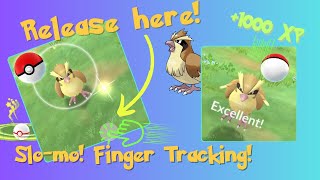 The Pidgey Excellent  Evolution combo is insane [upl. by Norbert]