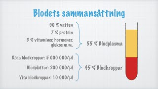 Blodets sammansättning [upl. by Nytsrik717]