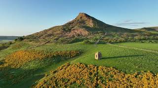 Roseberry topping Bluebells Drone Footage [upl. by Durrell]