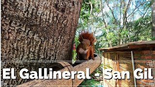 🐿️🏞️PARQUE EL GALLINERAL SAN GIL 2023🐿️🏞️ [upl. by Ahsia]