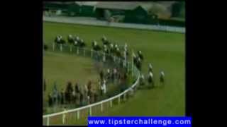 1981 Grand National at Aintree won by Aldaniti [upl. by Weed]