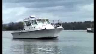 Really Rare 28 Albin Diesel Sportfishing Express Cruiser Boat Video [upl. by Flemings]