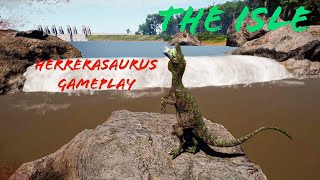 Herrerasaurus Gameplay  The Isle EvrimaGateway [upl. by Aneg82]