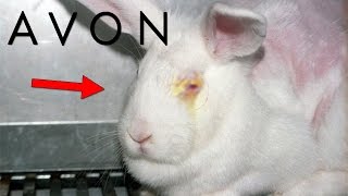 Los SECRETOS OCULTOS De AVON  ¿Realmente Usan Conejos [upl. by Haberman650]